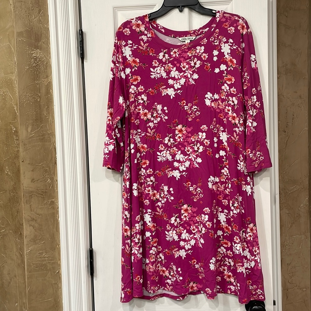 Pioneer Woman Dress